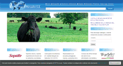 Desktop Screenshot of itmgrupo.com